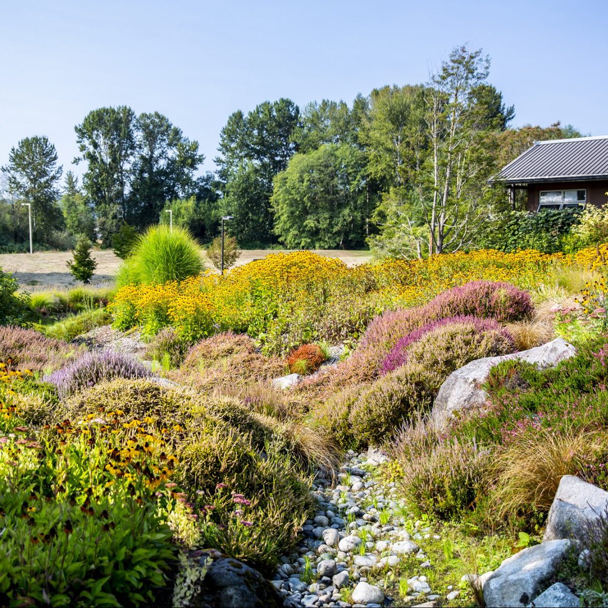 A lush landscape with colorful plants in the foreground, tall trees in the background, and part of a building visible on the right.